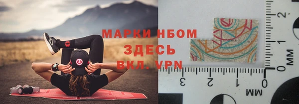 стаф Надым