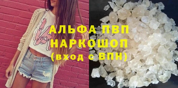 стаф Надым