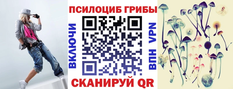 Псилоцибиновые грибы Cubensis  Купить где  Чернушка 